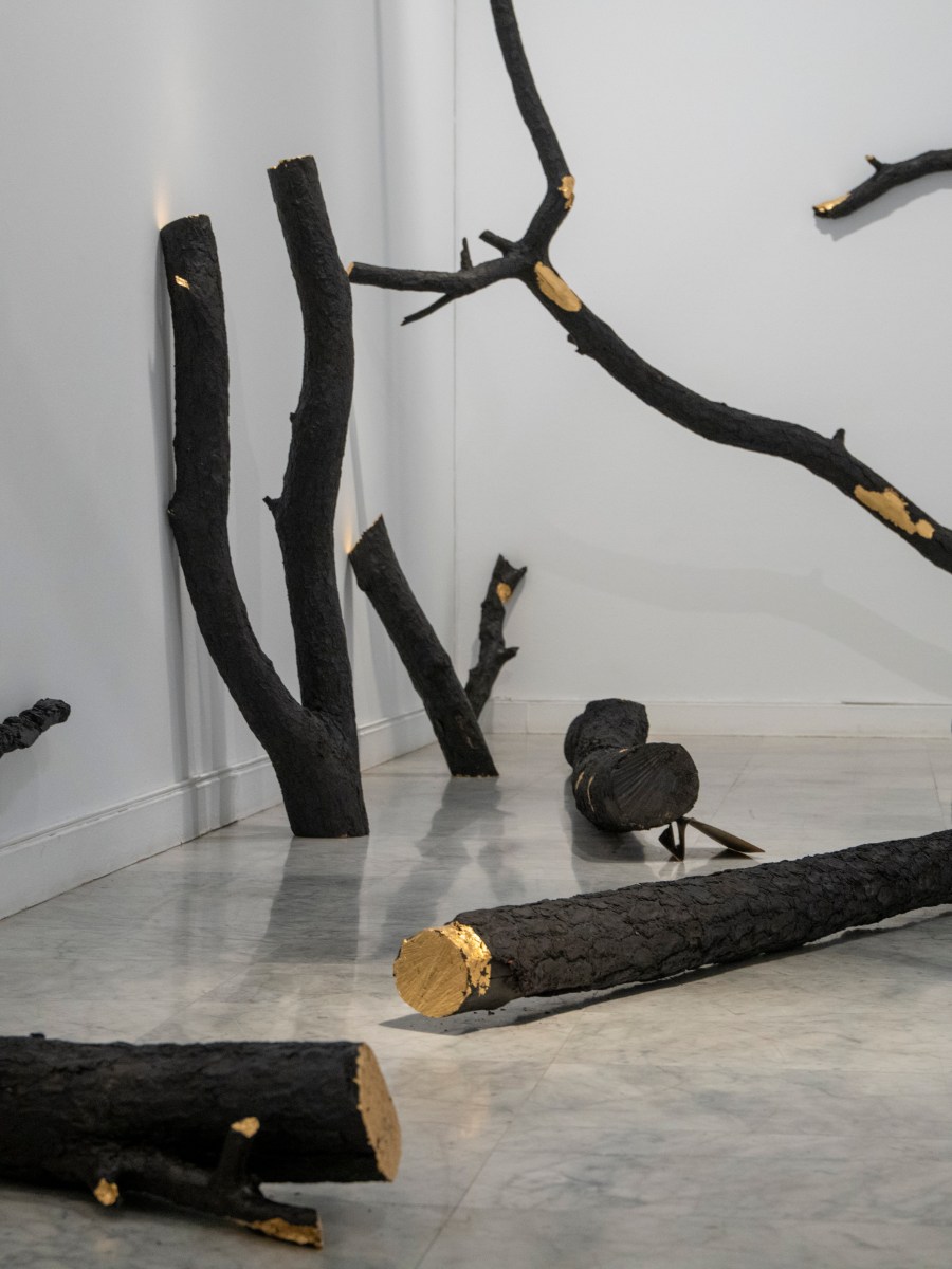 Crítica móvil: Cristina Déniz Sosa en La Regenta por Fernando Castro&nbsp;Flórez